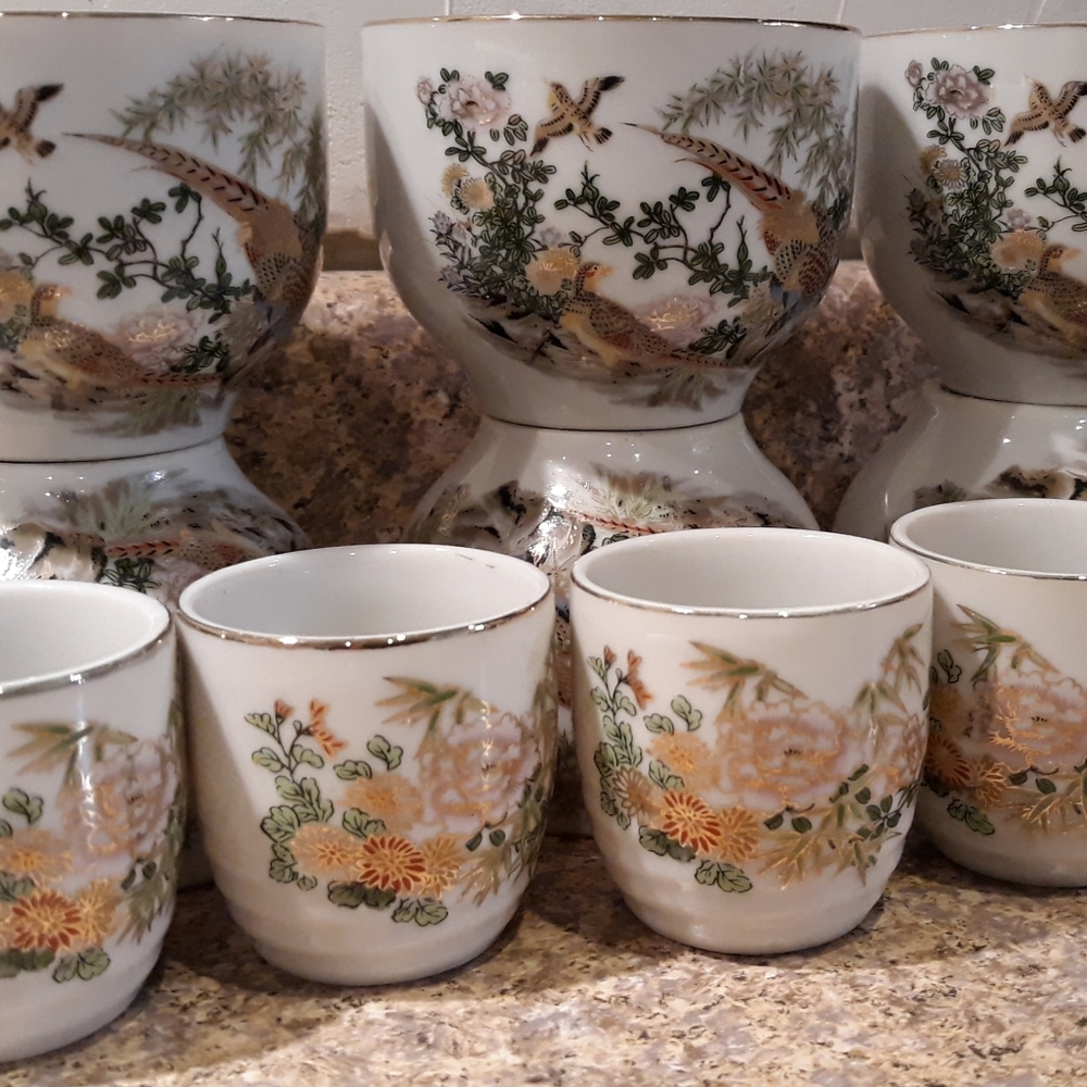 Beautiful Porcelain Saki Set / 11 Pieces